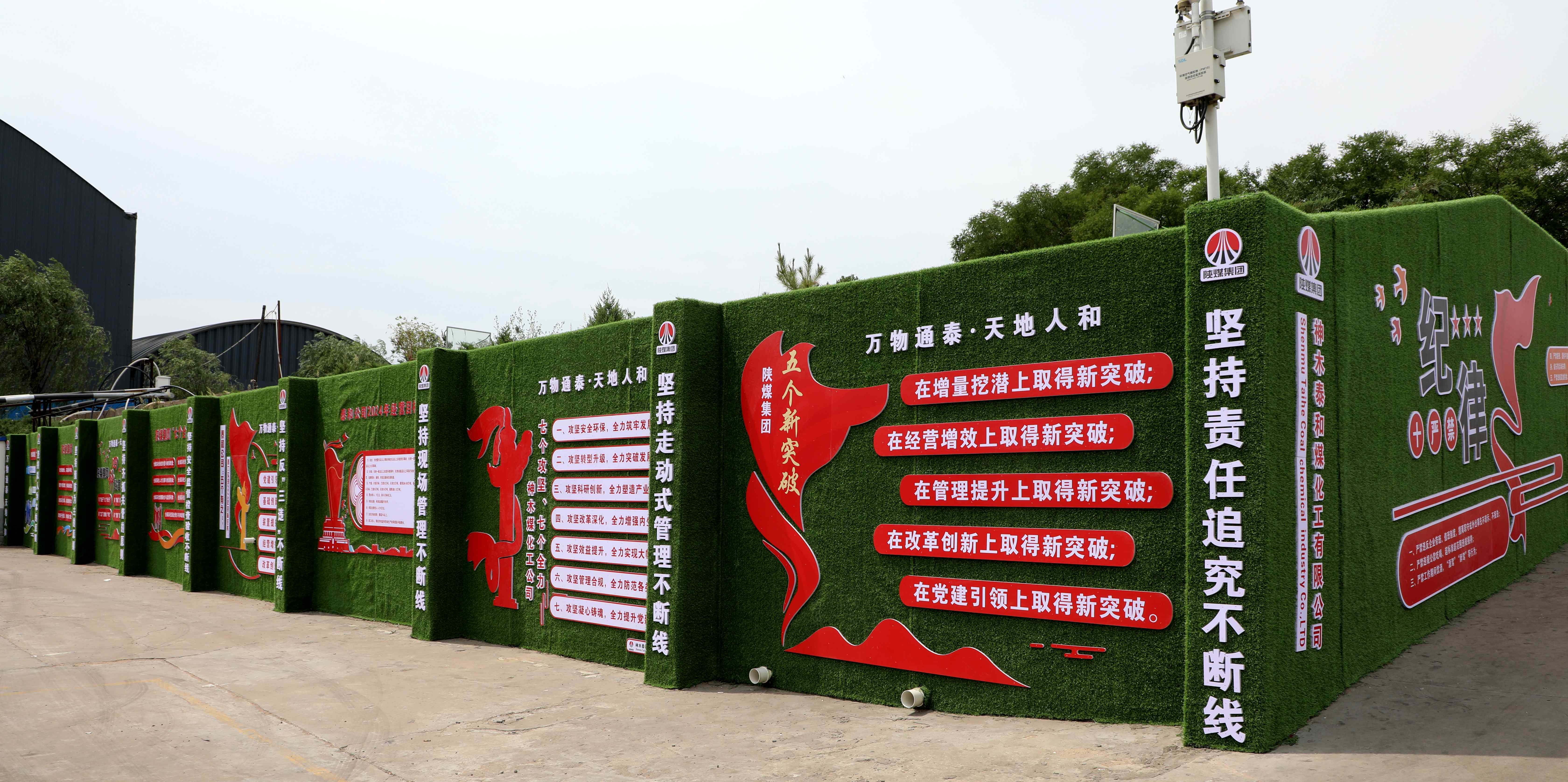 1736497478200668.jpeg 1Y1A7411.JPG