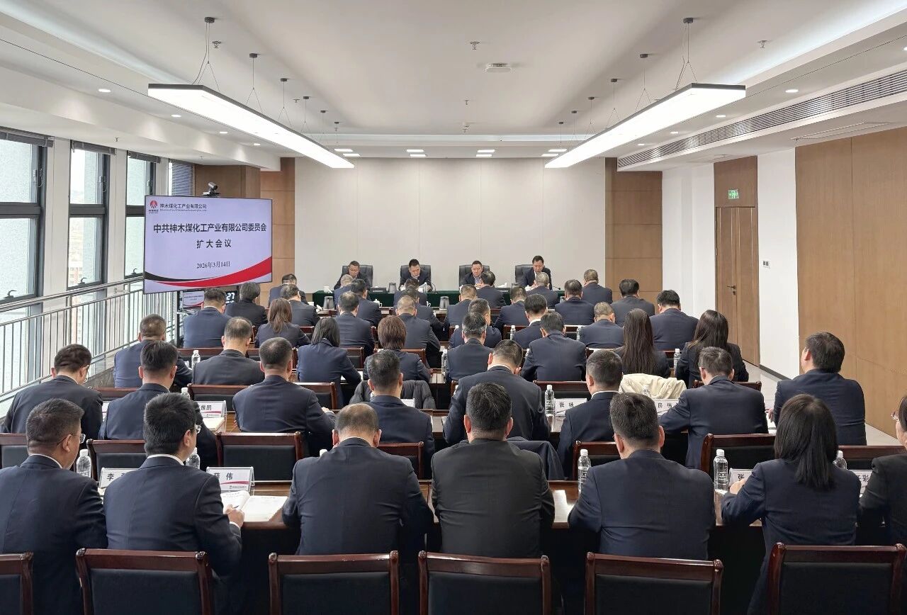 1773649072910799.jpeg 4016.jpg